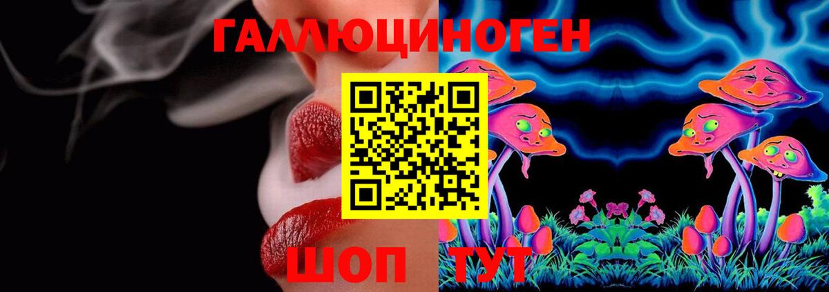 Выкса  Псилоцибиновые грибы Psilocybe  Вход с VPN 