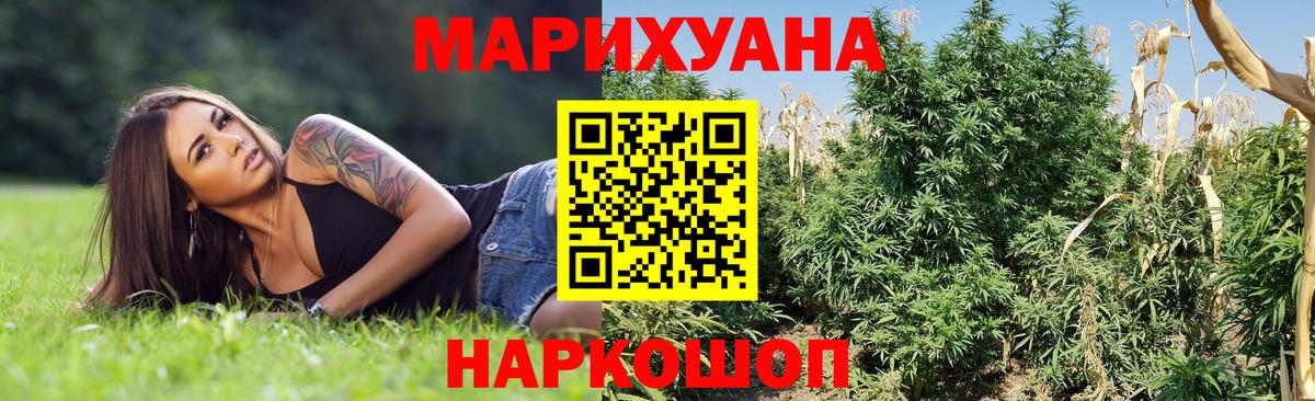 Конопля планчик  Вход с VPN  Выкса  Канабис Ganja 